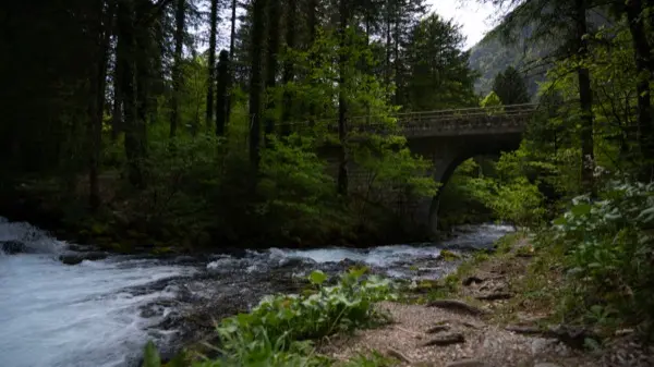 Pogled na gorski masiv Kamniške Alpe
