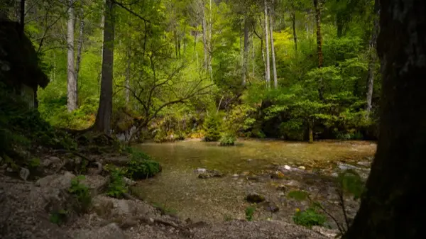 Pijača in koktajli na terasi Doma v Kamniški Bistrici