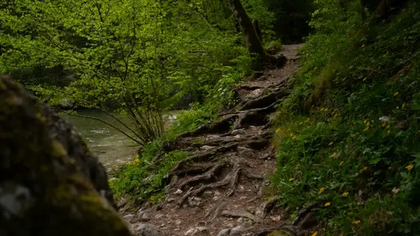 Ambient in vzdušje v gostišču Dom v Kamniški Bistrici