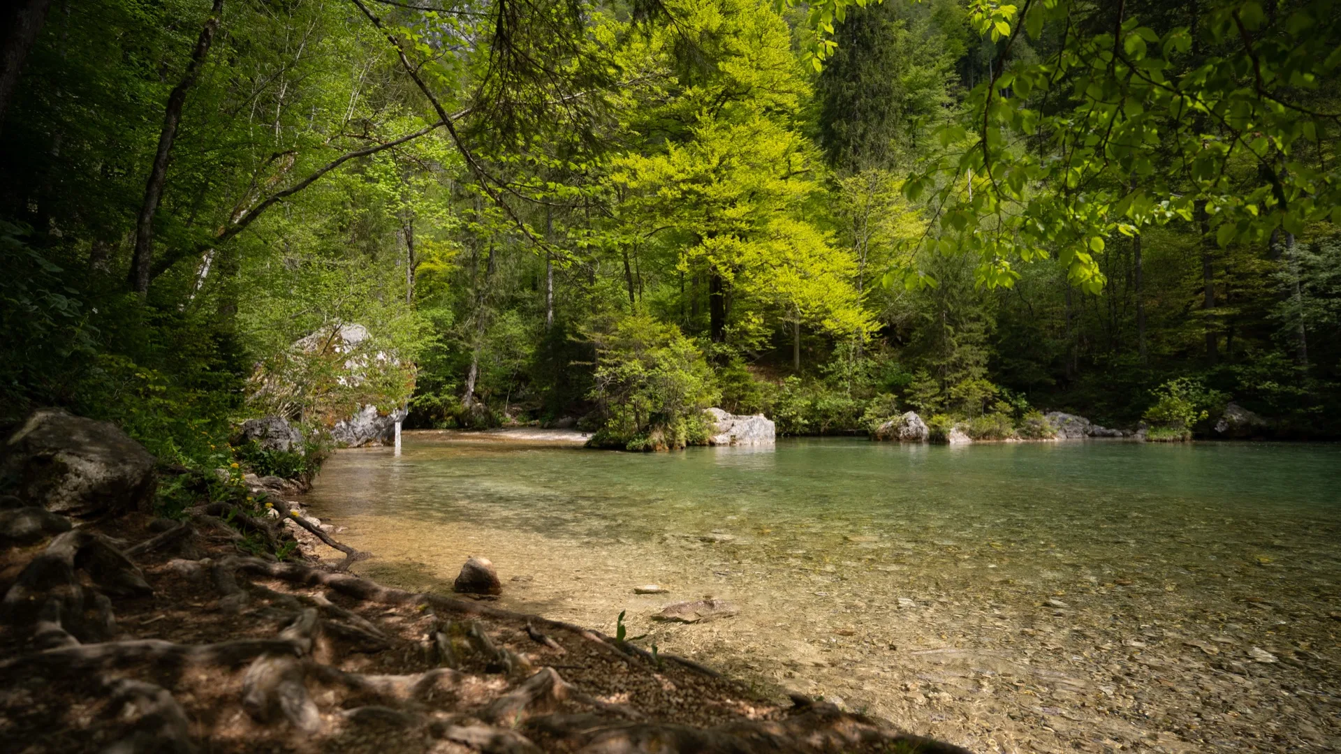 Gorska pokrajina Kamniško-Savinjskih Alp v okolici Doma v Kamniški Bistrici