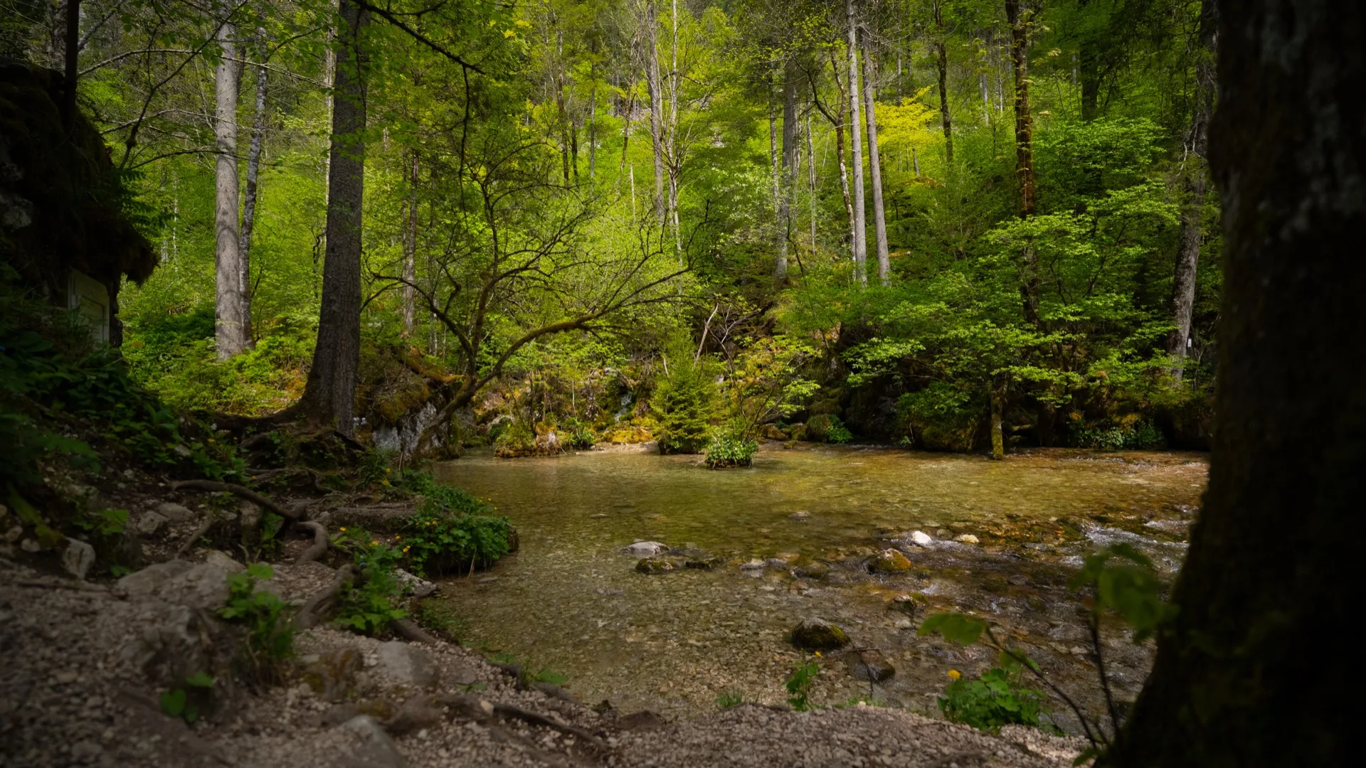 Pijača in prijetno vzdušje v Domu v Kamniški Bistrici